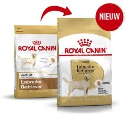 Royal Canin Labrador Retriever Adult 12 KG -Exporteren Alles Voor Honden Winkel 1200x1089 1