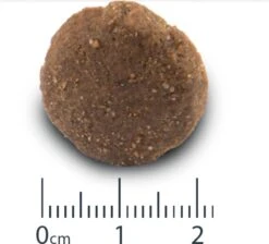 VERSELE-LAGA Versele Laga Opti Life Adult Maxi - Hondenvoer - 12,5 Kg -Exporteren Alles Voor Honden Winkel 1200x1089