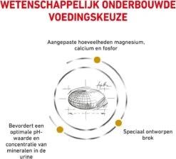 Royal Canin Urinary S/O Small Dog - Hondenvoer - 4 Kg -Exporteren Alles Voor Honden Winkel 1200x1090 1