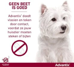 Bayer Advantix Vlooien & Teken Pipetten - Hond 10 Tot 25kg - 6 Stuks -Exporteren Alles Voor Honden Winkel 1200x1091 4