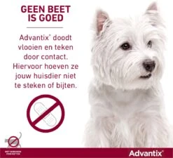Bayer Advantix Vlooien & Teken Pipetten - Hond Tot 4Kg - 6 Stuks -Exporteren Alles Voor Honden Winkel 1200x1091 5