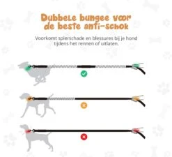 Hardloopriem Hond – Honden Riem Handsfree – Hardlopen Met Hond – 160-260 Cm Groen- Hardloopband Hond – Halsband Hond – Hondenlijn – Leiband Hond -Exporteren Alles Voor Honden Winkel 1200x1093 1