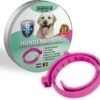 Vlooienband Voor Honden - Roze - 100% Natuurlijk - Geur Halsband - Hond - Voor Alle Rassen - Geen Chemicaliën - Teken En Vlooien - Waterproof - Veilig Voor Uw Gezin - Geen Bijwerkingen -Exporteren Alles Voor Honden Winkel 1200x1095 11