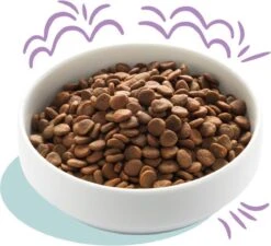 Edgard & Cooper Hondenvoer Puppy Verse Zalm En Kalkoen 7 Kg -Exporteren Alles Voor Honden Winkel 1200x1095 3