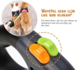 Dubbele Honden Riem – Leiband Hond – Hondenlijn – Looplijn Hond – 2 Honden – 3 Meter – Tot 12kg Per Hond – Reflecterende Lijnen – Met Zaklamp – 360° Draaien – Verstelbaar - Zwart 14 Dubbele Honden Riem – Leiband Hond – Hondenlijn – Looplijn Hond – 2 Honden – 3 Meter – Tot 12kg Per Hond – Reflecterende Lijnen – Met Zaklamp – 360° Draaien – Verstelbaar - Zwart -Exporteren Alles Voor Honden Winkel 1200x1096 2
