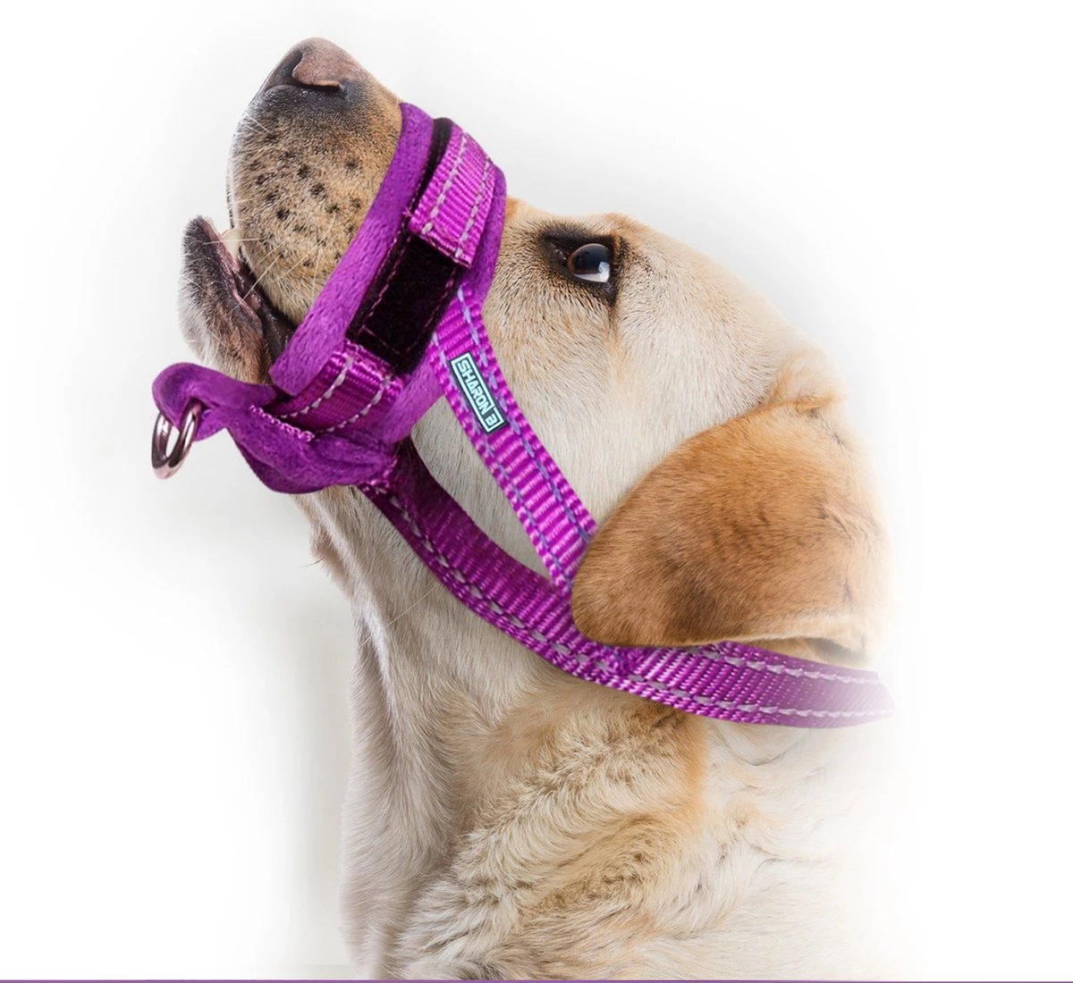 Sharon B Muilkorf Paars Maat M - Fleece - Wasbaar - Reflecterend 3 Sharon B Muilkorf Paars Maat M - Fleece - Wasbaar - Reflecterend