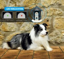 Vulpes Pets® Anti Blaf Apparaat Pro - Anti Blafband Voor Alle Honden - Luxe Hondentrainer - Diervriendelijk & Zonder Schok - Inclusief 9V Batterij - Waterbestendig - Ophangbaar - Instelbare Ultrasone Niveauregeling - 4 Standen 16 Vulpes Pets® Anti Blaf Apparaat Pro - Anti Blafband Voor Alle Honden - Luxe Hondentrainer - Diervriendelijk & Zonder Schok - Inclusief 9V Batterij - Waterbestendig - Ophangbaar - Instelbare Ultrasone Niveauregeling - 4 Standen -Exporteren Alles Voor Honden Winkel 1200x1102 1