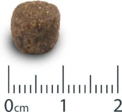 VERSELE-LAGA Versele Laga Opti Life Adult Medium - Hondenvoer - 12,5 Kg -Exporteren Alles Voor Honden Winkel 1200x1102