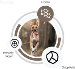 Husse Lam En Rijst - Hypoallergene Hondenbrokken - Hondenvoer - 2 Kg -Exporteren Alles Voor Honden Winkel 1200x1104