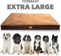 PrimePlus Hondenkussen XL Bruin/Cognac - 120x80x10 CM - Zacht En Luxe Hondenmand - Hondenbed - Hondenmat - Orthopedisch Hondenkussens 14 PrimePlus Hondenkussen XL Bruin/Cognac - 120x80x10 CM - Zacht En Luxe Hondenmand - Hondenbed - Hondenmat - Orthopedisch Hondenkussens -Exporteren Alles Voor Honden Winkel 1200x1112 2