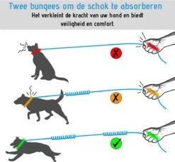 Oak's First Elastische En Diervriendelijke Looplijn Met Heupriem - Hondenriem - 150cm/210cm - Grijs 12 Oak's First Elastische En Diervriendelijke Looplijn Met Heupriem - Hondenriem - 150cm/210cm - Grijs -Exporteren Alles Voor Honden Winkel 1200x1114 13