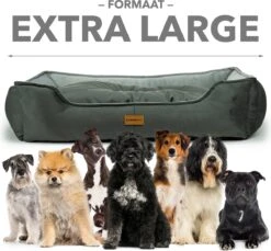 Primeplus Grote Hondenmand XL - Grijs - 100x80x20 CM - Orthopedische Hondenmanden - Hondenkussen -Exporteren Alles Voor Honden Winkel 1200x1114 16