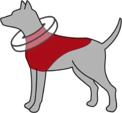 Trixie Opblaasbare Beschermkraag S - Dierenbeschermkraag 15 Trixie Opblaasbare Beschermkraag S - Dierenbeschermkraag -Exporteren Alles Voor Honden Winkel 1200x1114 21