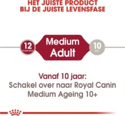 Royal Canin Shn Medium Adult Pouch - Hondenvoer - 10 X 140 G 13 Royal Canin Shn Medium Adult Pouch - Hondenvoer - 10 X 140 G -Exporteren Alles Voor Honden Winkel 1200x1116