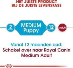 Royal Canin Medium Junior 15 KG -Exporteren Alles Voor Honden Winkel 1200x1116 3