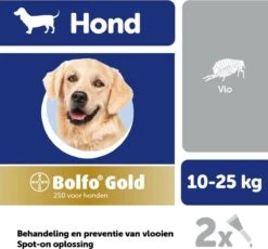 Bayer Bolfo Gold 250 Anti Vlooienmiddel - Hond - 10 Tot 25 Kg - 2 Pipetten 11 Bayer Bolfo Gold 250 Anti Vlooienmiddel - Hond - 10 Tot 25 Kg - 2 Pipetten -Exporteren Alles Voor Honden Winkel 1200x1116 7