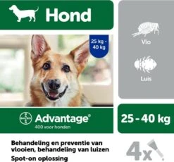 Bayer Anti Vlooienmiddel Advantage 400 25 - 40 Kg - 4 Pipetten 26 Bayer Anti Vlooienmiddel Advantage 400 25 - 40 Kg - 4 Pipetten -Exporteren Alles Voor Honden Winkel 1200x1117 10