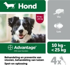 Bayer Advantage 250 Vlooiendruppels Hond 10-25 Kg - 4 Pipetten 13 Bayer Advantage 250 Vlooiendruppels Hond 10-25 Kg - 4 Pipetten -Exporteren Alles Voor Honden Winkel 1200x1117 12