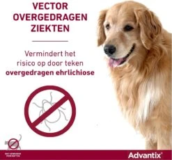 Bayer Advantix Vlooien & Teken Pipetten - Hond Tot 4Kg - 6 Stuks -Exporteren Alles Voor Honden Winkel 1200x1117 9