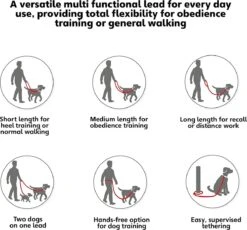 Company Of Animals Halti Trainingslijn - Large - 2 Meter - Verstelbaar - Zwart -Exporteren Alles Voor Honden Winkel 1200x1119 1