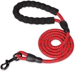 Exporteren Alles Voor Honden Winkel 21 Merkloos Hondenriem - Reflecterende Hondenriem - Rood