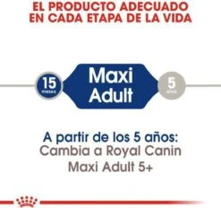 Royal Canin Maxi Adult 5+ Jaar Oud - Hondenvoer - 15 Kg 22 Royal Canin Maxi Adult 5+ Jaar Oud - Hondenvoer - 15 Kg -Exporteren Alles Voor Honden Winkel 1200x1127 2