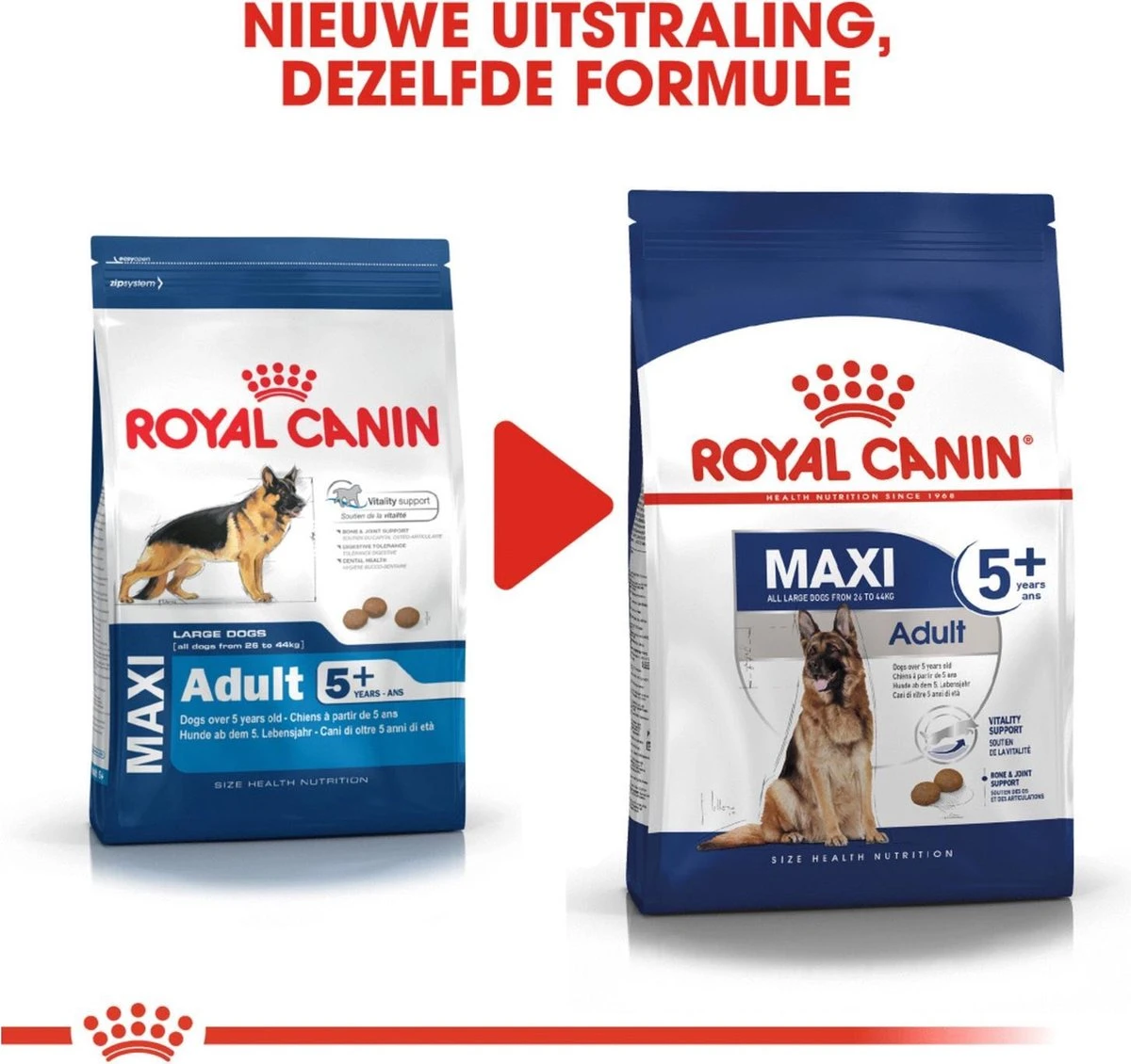 Royal Canin Maxi Adult 5+ Jaar Oud - Hondenvoer - 15 Kg 12 Royal Canin Maxi Adult 5+ Jaar Oud - Hondenvoer - 15 Kg - Afbeelding 10