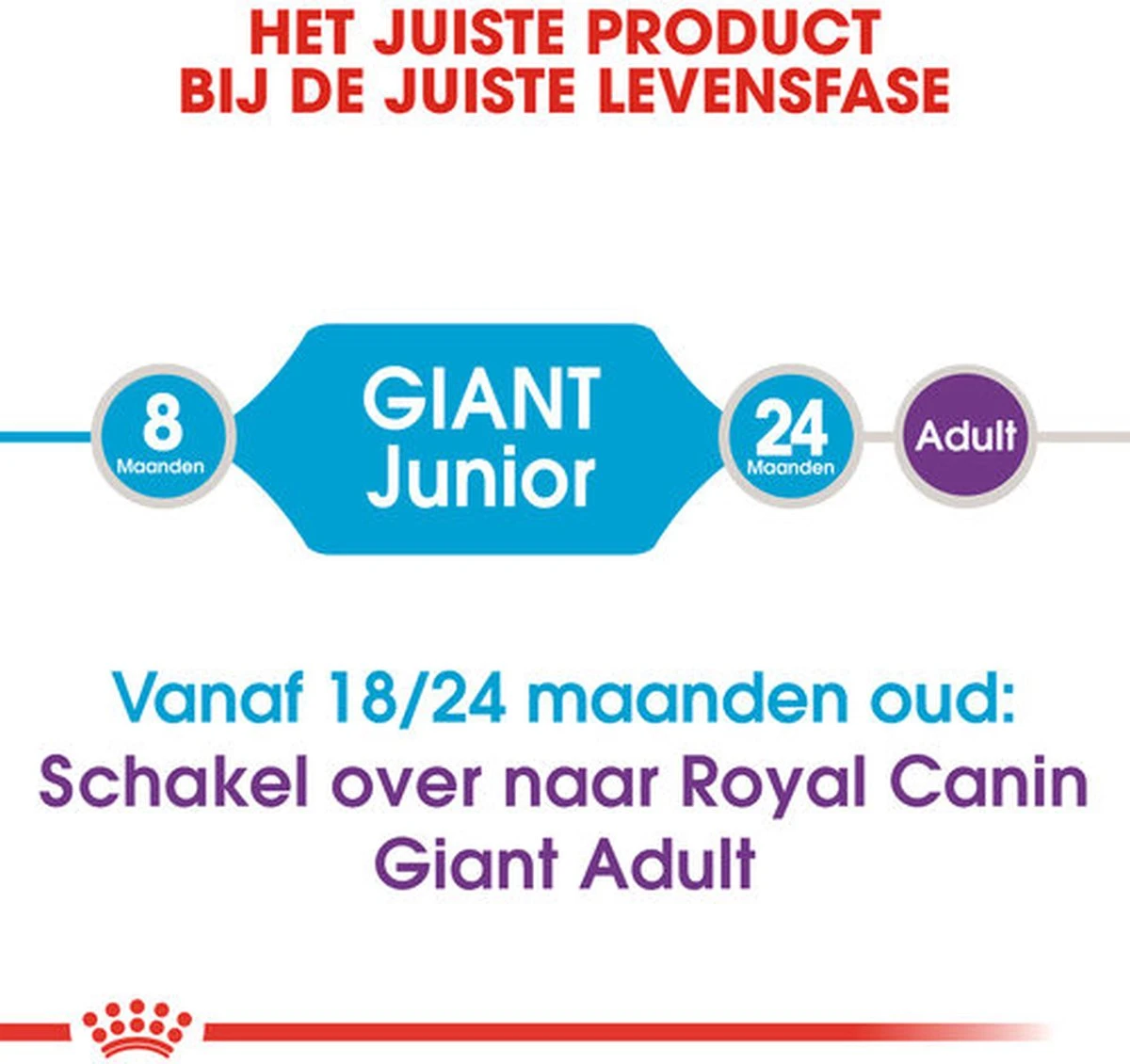 Royal Canin Giant Junior 15 KG 4 Royal Canin Giant Junior 15 KG - Afbeelding 2
