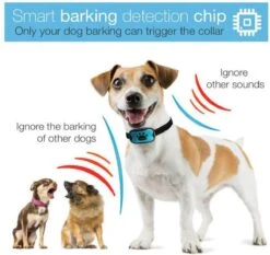 Merkloos Anti Blafband Voor Honden Blafband Anti Blaf Apparaat Blafband Zonder Schok - Diervriendelijk -Exporteren Alles Voor Honden Winkel 1200x1133 1