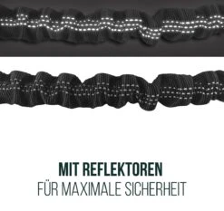 Happilax Joggingriem Voor Honden, Elastische En Reflecterende Hondenriem Voor Joggen Met Buikband, 100-160 Cm -Exporteren Alles Voor Honden Winkel 1200x1133 4