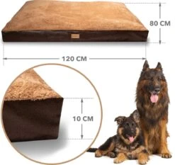 PrimePlus Hondenkussen XL Bruin/Cognac - 120x80x10 CM - Zacht En Luxe Hondenmand - Hondenbed - Hondenmat - Orthopedisch Hondenkussens 13 PrimePlus Hondenkussen XL Bruin/Cognac - 120x80x10 CM - Zacht En Luxe Hondenmand - Hondenbed - Hondenmat - Orthopedisch Hondenkussens -Exporteren Alles Voor Honden Winkel 1200x1134 5
