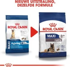 Royal Canin Maxi Ageing 8+ 15 KG -Exporteren Alles Voor Honden Winkel 1200x1135 4