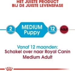 Royal Canin Shn Medium Puppy Pouch - Hondenvoer - 10 X 140 G -Exporteren Alles Voor Honden Winkel 1200x1135 9