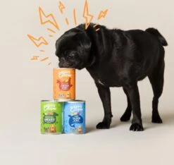 Edgard & Cooper Lam & Rund Blik - Voor Volwassen Honden - Hondenvoer - 12 X 400g -Exporteren Alles Voor Honden Winkel 1200x1138 2