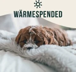 Happilax Fluffy Hondendeken Voor Auto & Bank, Wasbare Hondenmat Voor Op Reis, Grijs, L 12 Happilax Fluffy Hondendeken Voor Auto & Bank, Wasbare Hondenmat Voor Op Reis, Grijs, L -Exporteren Alles Voor Honden Winkel 1200x1139 5