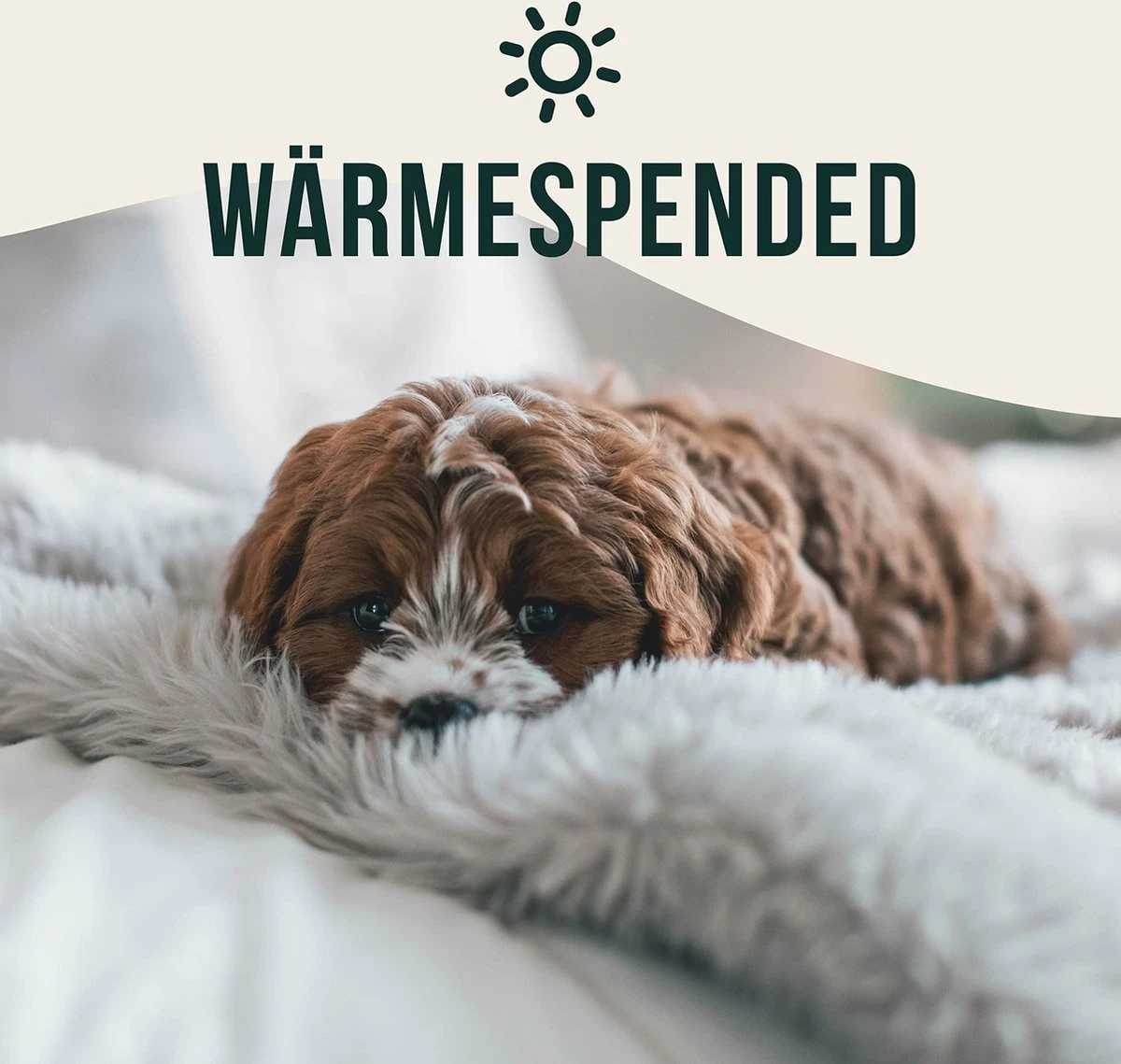 Happilax Fluffy Hondendeken Voor Auto & Bank, Wasbare Hondenmat Voor Op Reis, Grijs, L 7 Happilax Fluffy Hondendeken Voor Auto & Bank, Wasbare Hondenmat Voor Op Reis, Grijs, L - Afbeelding 5