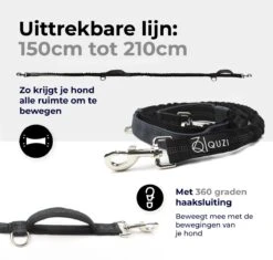 Canicross Looplijn Hond Met Heupriem Voor Hardlopen - Elastische Handsfree Hondenriem - Honden Trainingslijn - 150/210cm - Zwart -Exporteren Alles Voor Honden Winkel 1200x1140 12