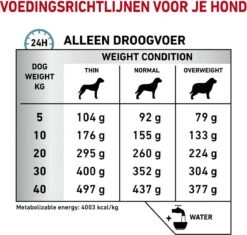 Royal Canin Anallergenic - Hondenvoer - 3 Kg -Exporteren Alles Voor Honden Winkel 1200x1141 1