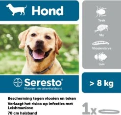 Seresto Vlooien En Tekenband - Grote Hond - >8 Kg 30 Seresto Vlooien En Tekenband - Grote Hond - >8 Kg -Exporteren Alles Voor Honden Winkel 1200x1141 12