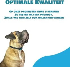 Exomar® Anti Blafband Voor Honden Blafband Anti Blaf Apparaat Blafband Zonder Schok - Diervriendelijk -Exporteren Alles Voor Honden Winkel 1200x1141 5