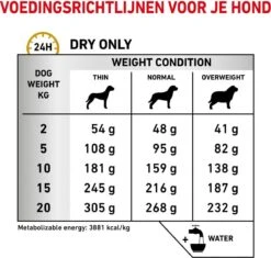 Royal Canin Urinary S/O - Hondenvoer - 7,5 Kg -Exporteren Alles Voor Honden Winkel 1200x1142 2