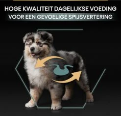 Pro Plan Medium Puppy Sensitive Digestion - Honden Droogvoer - Lam - 4 X 3 Kg 29 Pro Plan Medium Puppy Sensitive Digestion - Honden Droogvoer - Lam - 4 X 3 Kg -Exporteren Alles Voor Honden Winkel 1200x1146 10