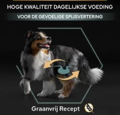 Pro Plan Graanvrij Medium & Large Adult Sensitive Digestion - Honden Droogvoer- Kalkoen - 12 Kg 39 Pro Plan Graanvrij Medium & Large Adult Sensitive Digestion - Honden Droogvoer- Kalkoen - 12 Kg -Exporteren Alles Voor Honden Winkel 1200x1146 17
