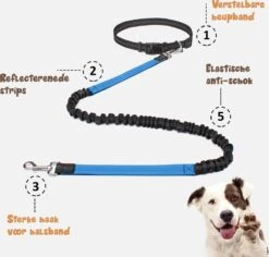 Hardloopriem Hond – Honden Riem Handsfree – Hardlopen Met Hond – 160-260 Cm Blauw - Hardloopband Hond – Halsband Hond – Hondenlijn – Leiband Hond 17 Hardloopriem Hond – Honden Riem Handsfree – Hardlopen Met Hond – 160-260 Cm Blauw - Hardloopband Hond – Halsband Hond – Hondenlijn – Leiband Hond -Exporteren Alles Voor Honden Winkel 1200x1146 38