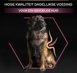 Pro Plan Large Robust Adult Sensitive Skin - Honden Droogvoer - Zalm - 14 Kg -Exporteren Alles Voor Honden Winkel 1200x1146 4