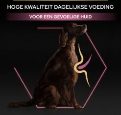 Pro Plan Large Atlethic Adult Sensitive Skin - Honden Droogvoer - Zalm - 14 Kg -Exporteren Alles Voor Honden Winkel 1200x1146 7