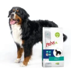 Prins Procare Croque Dieet Mobility Gevogelte - - 10 Kg -Exporteren Alles Voor Honden Winkel 1200x1147 1