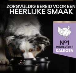 Pro Plan Graanvrij Medium & Large Adult Sensitive Digestion - Honden Droogvoer- Kalkoen - 12 Kg 36 Pro Plan Graanvrij Medium & Large Adult Sensitive Digestion - Honden Droogvoer- Kalkoen - 12 Kg -Exporteren Alles Voor Honden Winkel 1200x1148 1