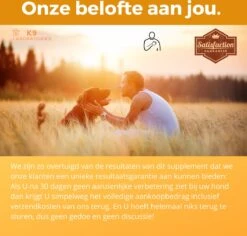 K9 Laboratories - Voordeel Pak - 120 Stuks - Voor Honden - Met Gewrichtsklachten - Artrose - Stijve Gewrichten - Ouderdom - HD - ED - Bevat Glucosamine - MSM - Chondorïtine - Voor Behoud Van Kraakbeen -Exporteren Alles Voor Honden Winkel 1200x1148 13
