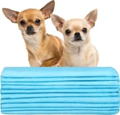 Springos Puppy Training Pads| Plasmatjes Hond | Zindelijkheidstraining | 10 Stuks | 35 X 45 Cm -Exporteren Alles Voor Honden Winkel 1200x1148 3